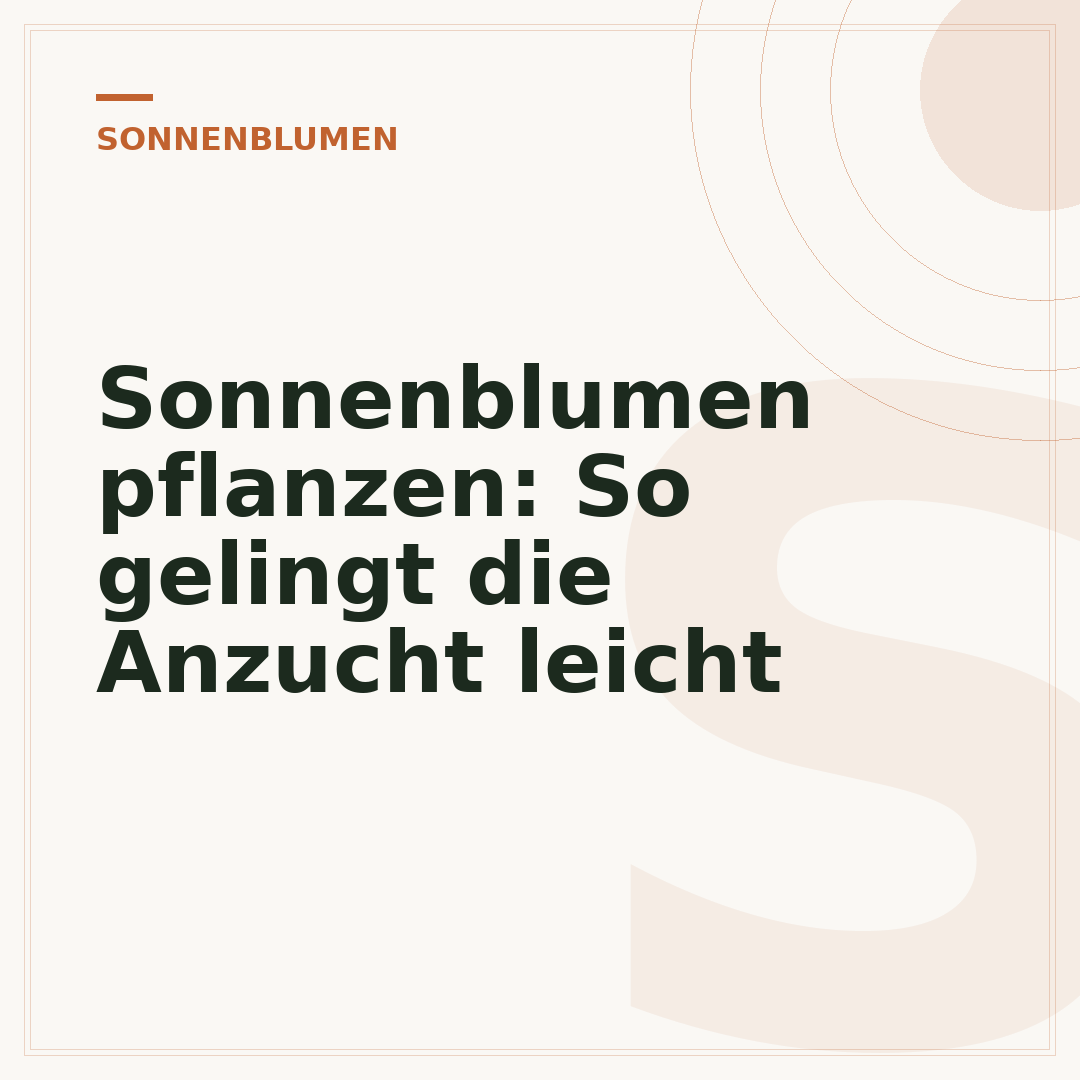 Sonnenblumen pflanzen: So gelingt die Anzucht leicht