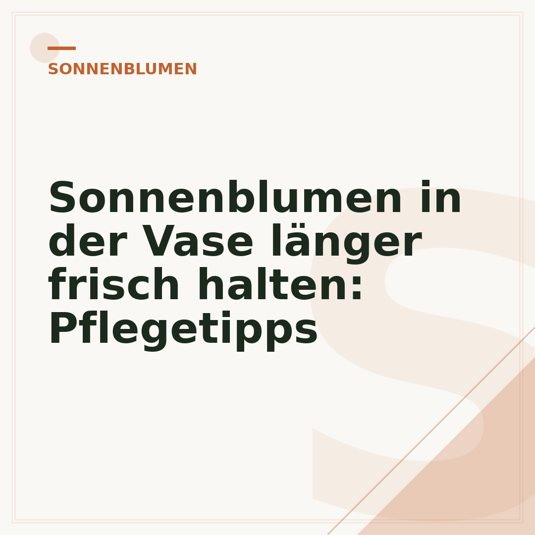 Sonnenblumen in der Vase länger frisch halten: Pflegetipps