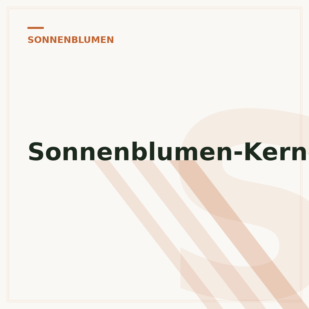 Sonnenblumen-Kerne