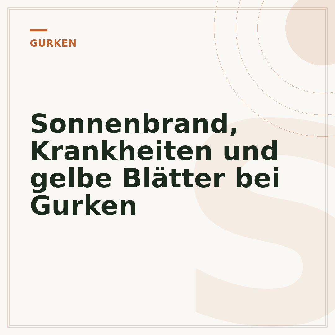 Sonnenbrand, Krankheiten und gelbe Blätter bei Gurken