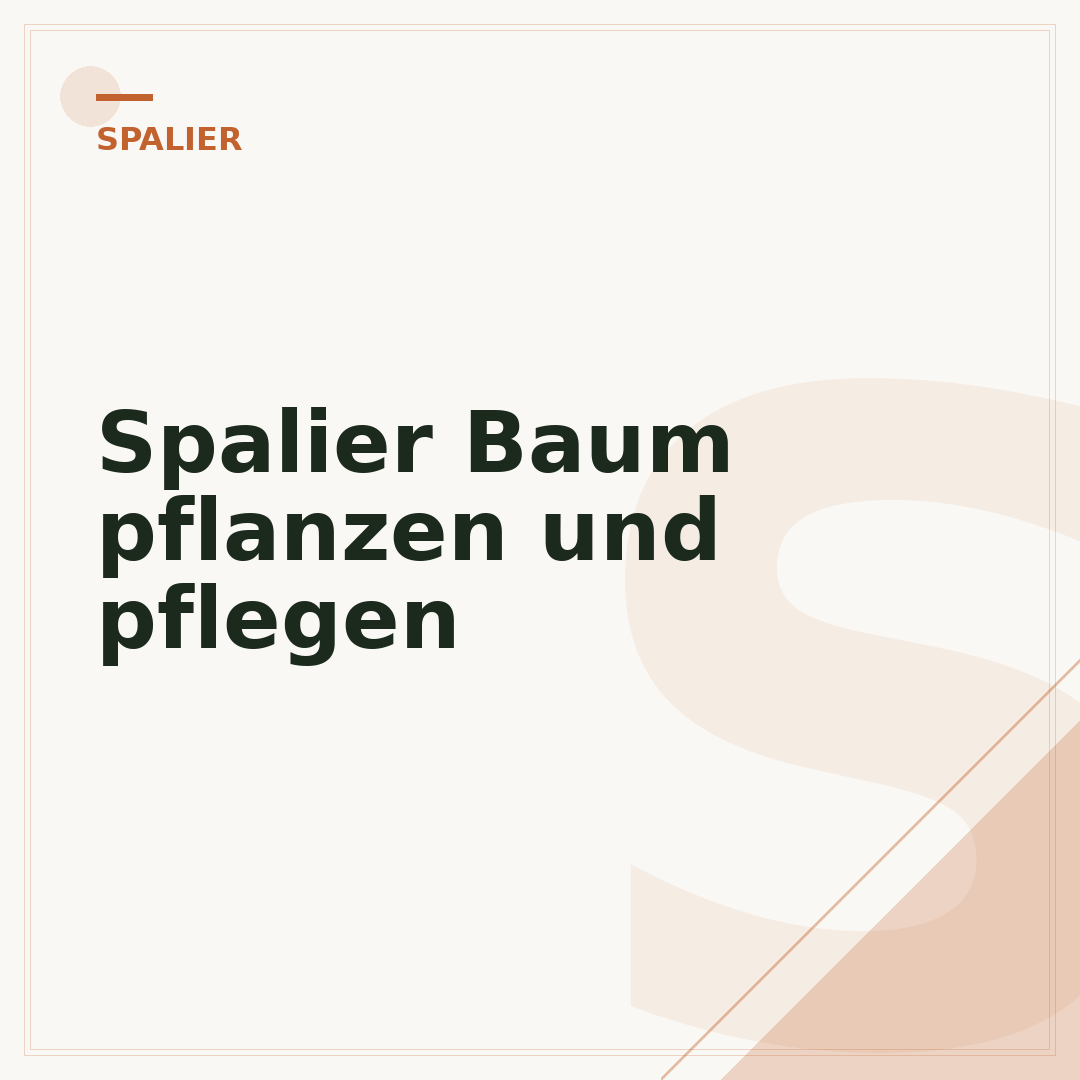 Spalier Baum pflanzen und pflegen