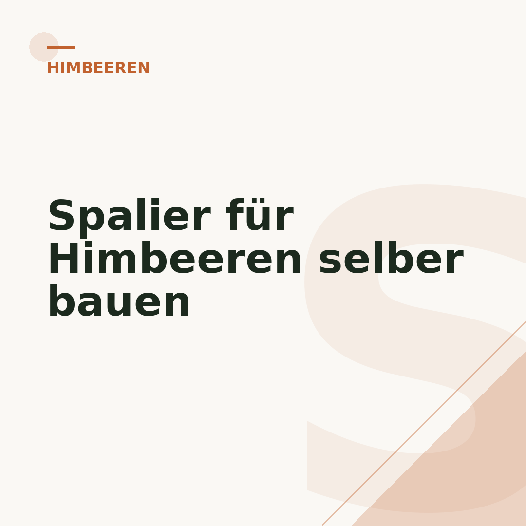 Spalier für Himbeeren selber bauen