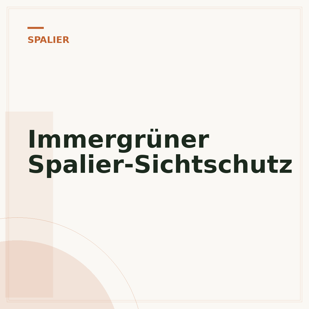 Immergrüner Spalier-Sichtschutz