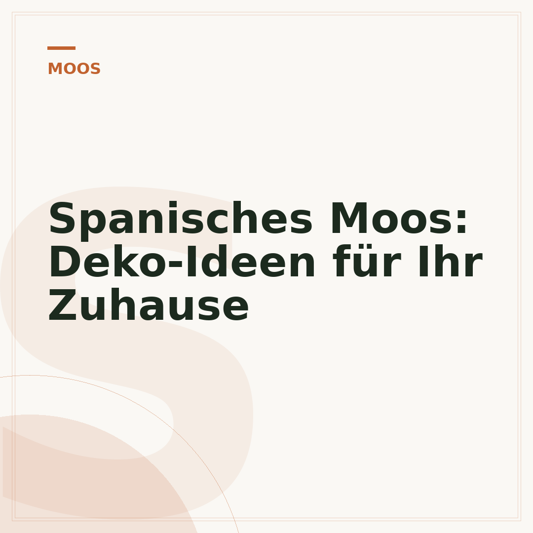 Spanisches Moos: Deko-Ideen für Ihr Zuhause