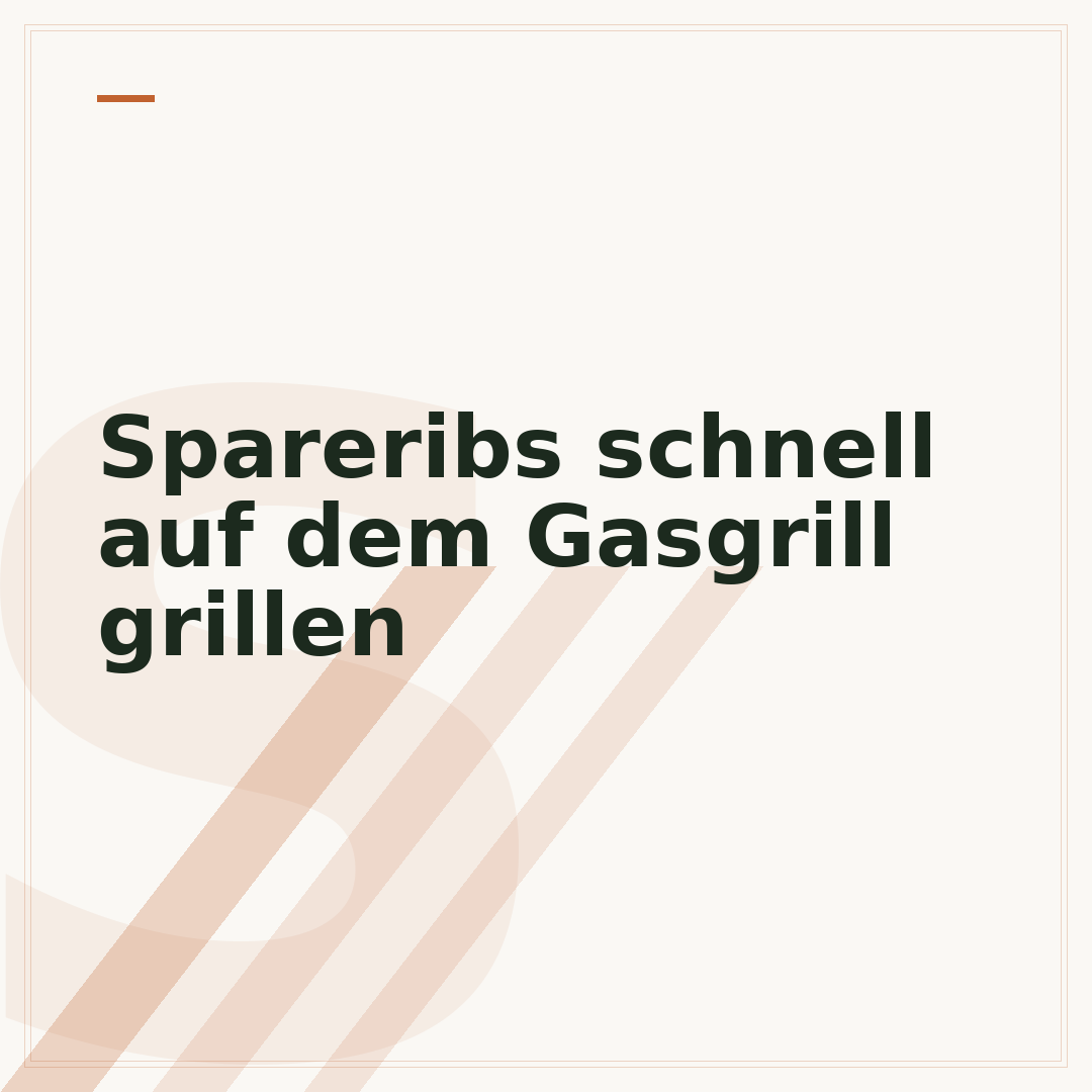 Spareribs schnell auf dem Gasgrill grillen
