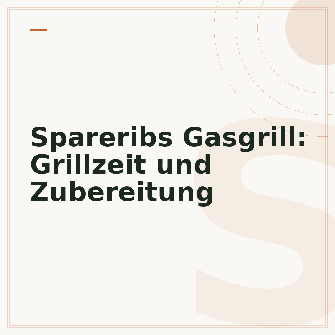 Spareribs Gasgrill: Grillzeit und Zubereitung