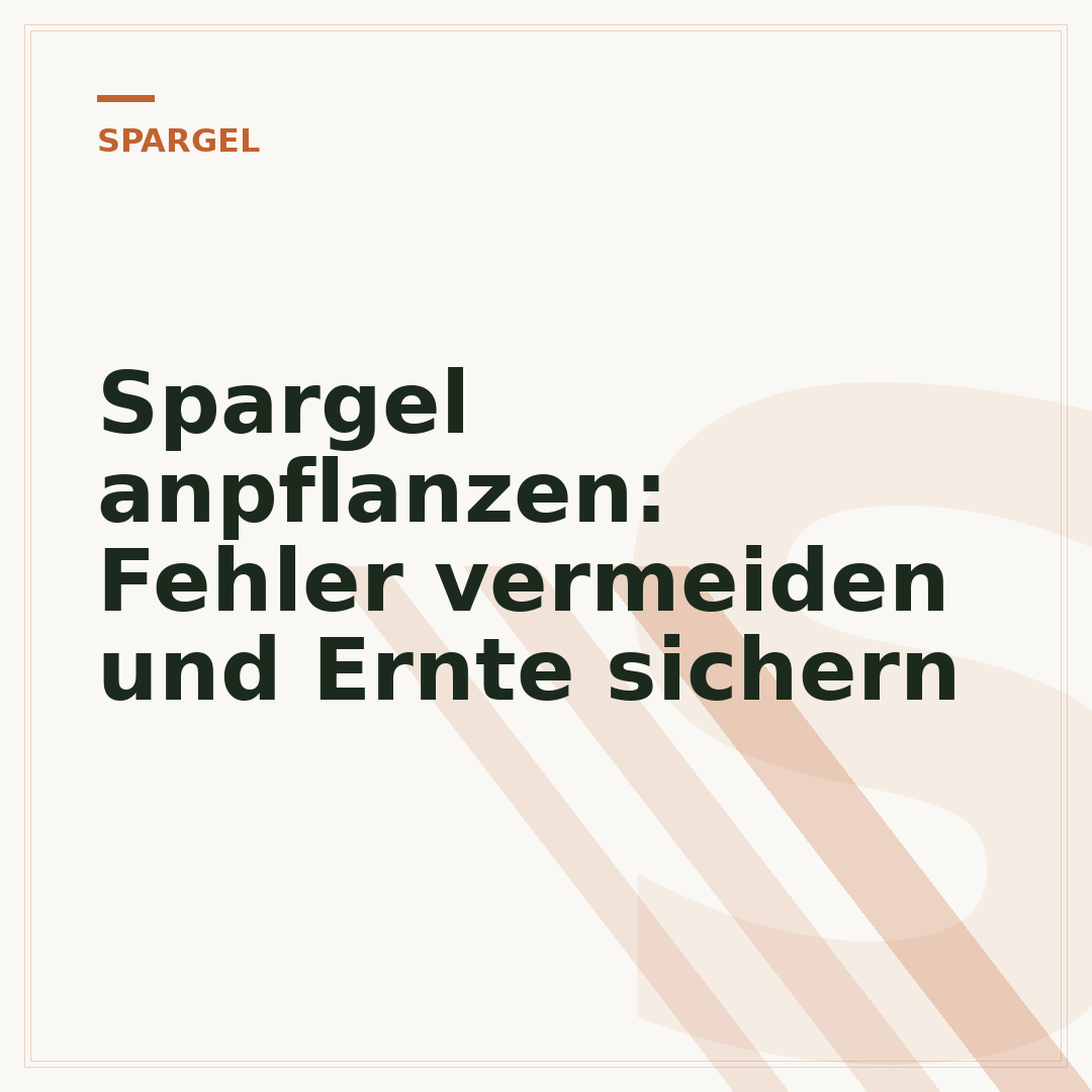 Spargel anpflanzen: Fehler vermeiden und Ernte sichern
