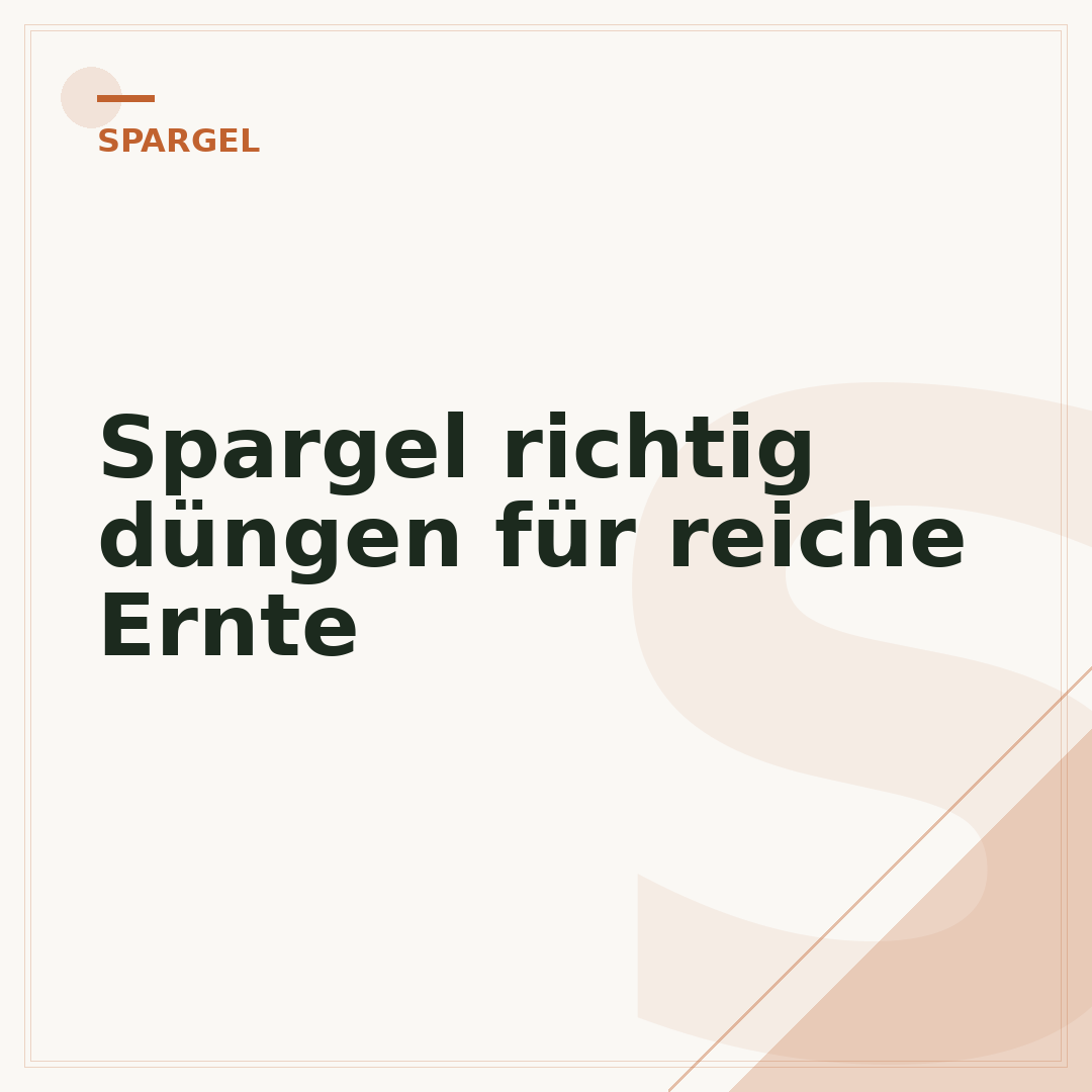 Spargel richtig düngen für reiche Ernte