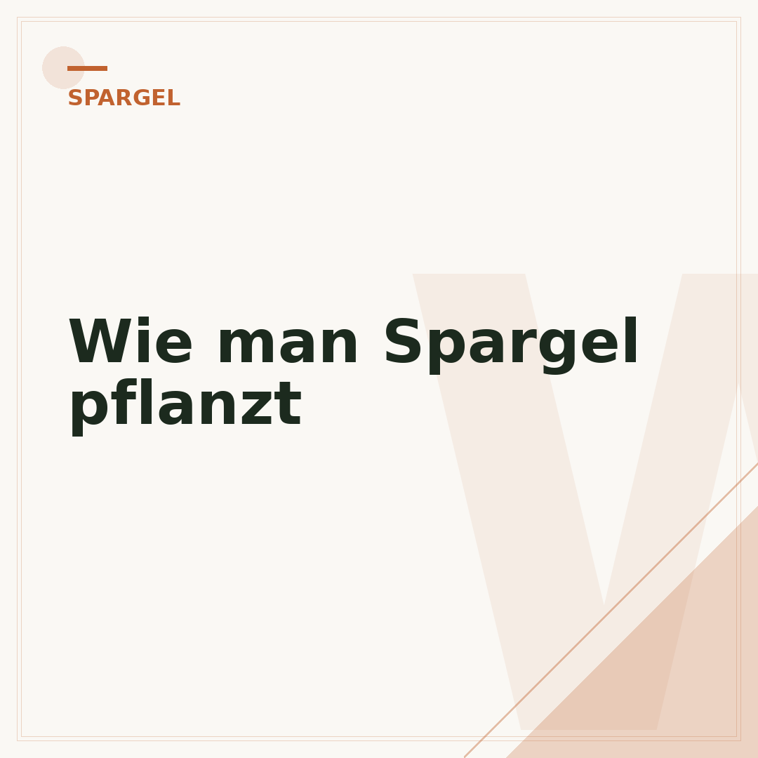 Wie man Spargel pflanzt
