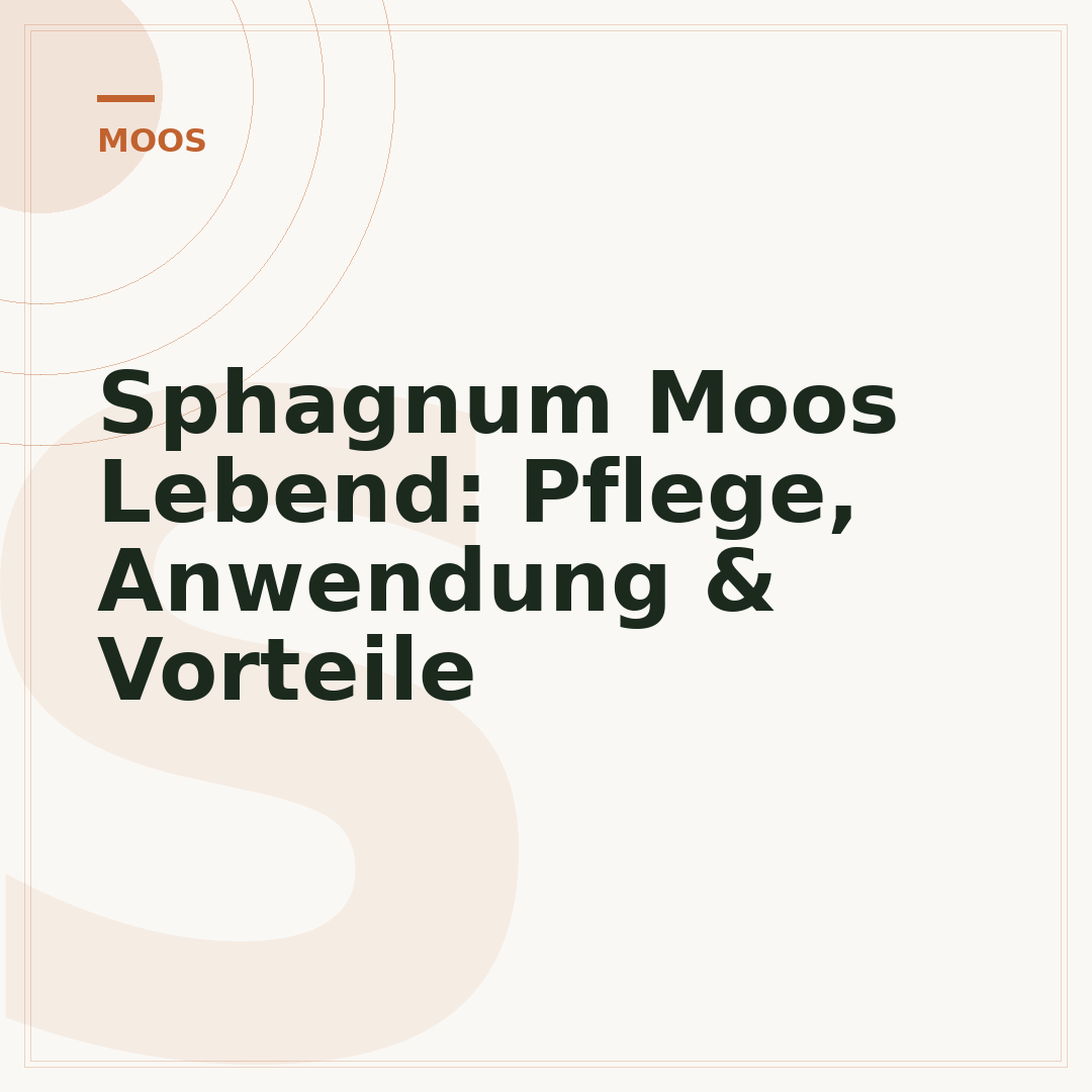 Sphagnum Moos Lebend: Pflege, Anwendung & Vorteile