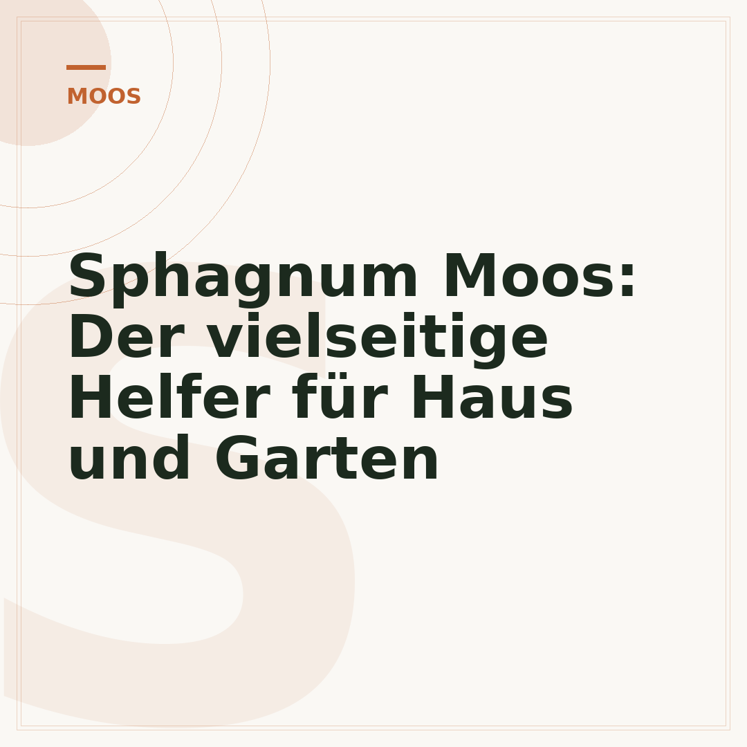 Sphagnum Moos: Der vielseitige Helfer für Haus und Garten