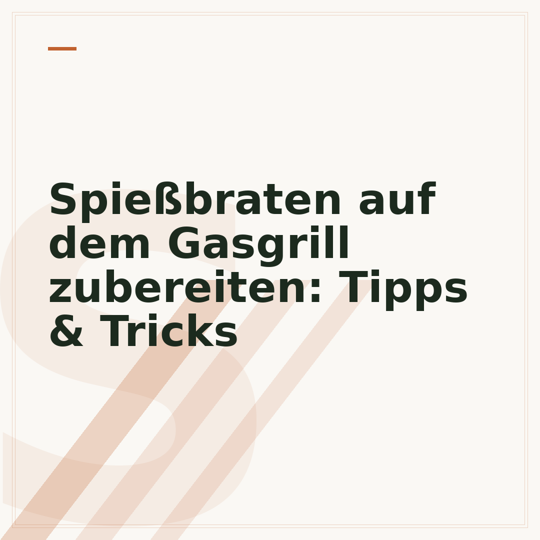 Spießbraten auf dem Gasgrill zubereiten: Tipps & Tricks