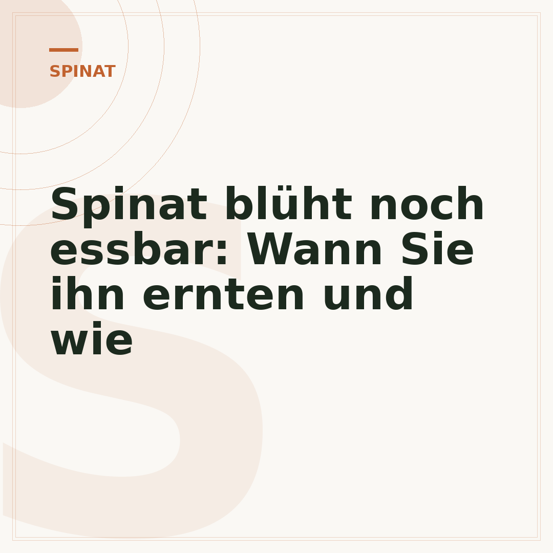 Spinat blüht noch essbar: Wann Sie ihn ernten und wie