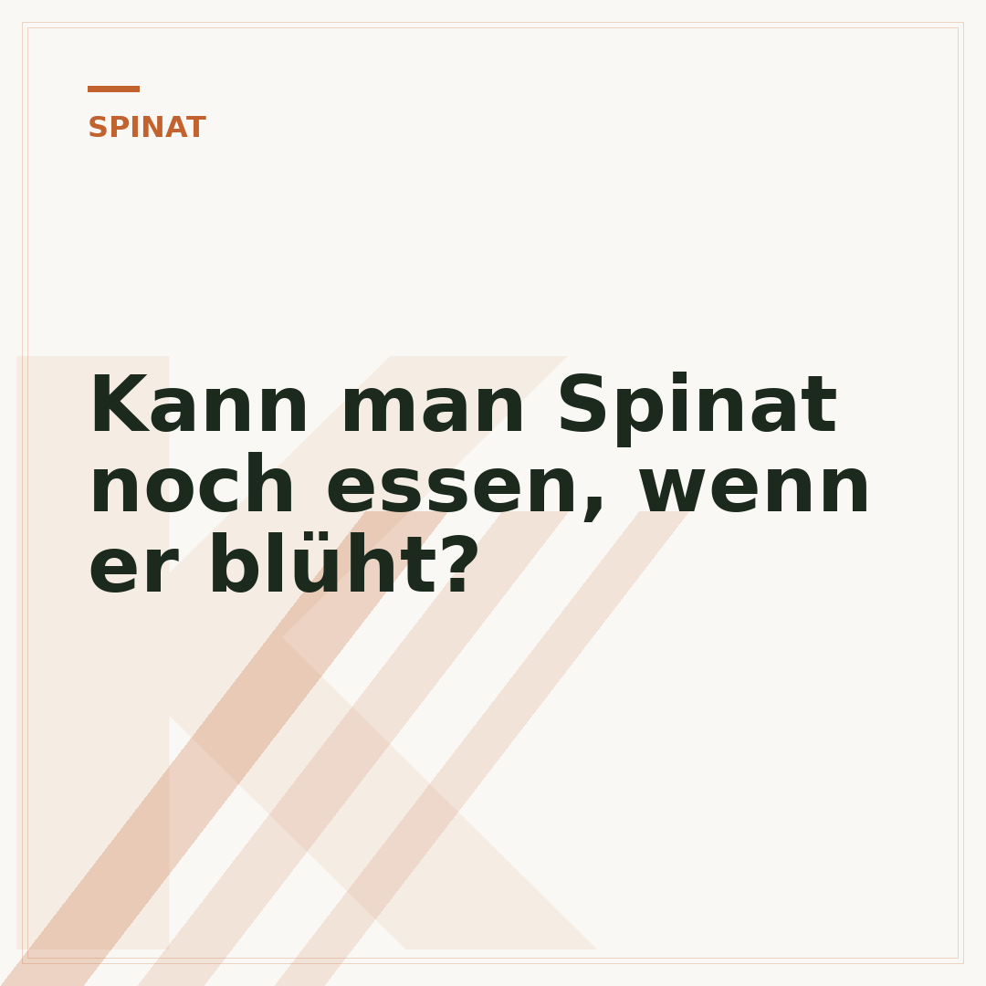 Kann man Spinat noch essen, wenn er blüht?