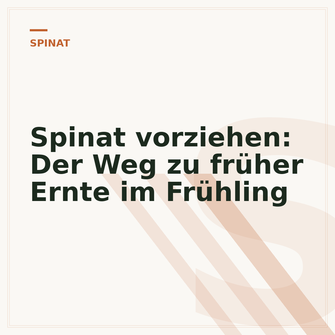 Spinat vorziehen: Der Weg zu früher Ernte im Frühling