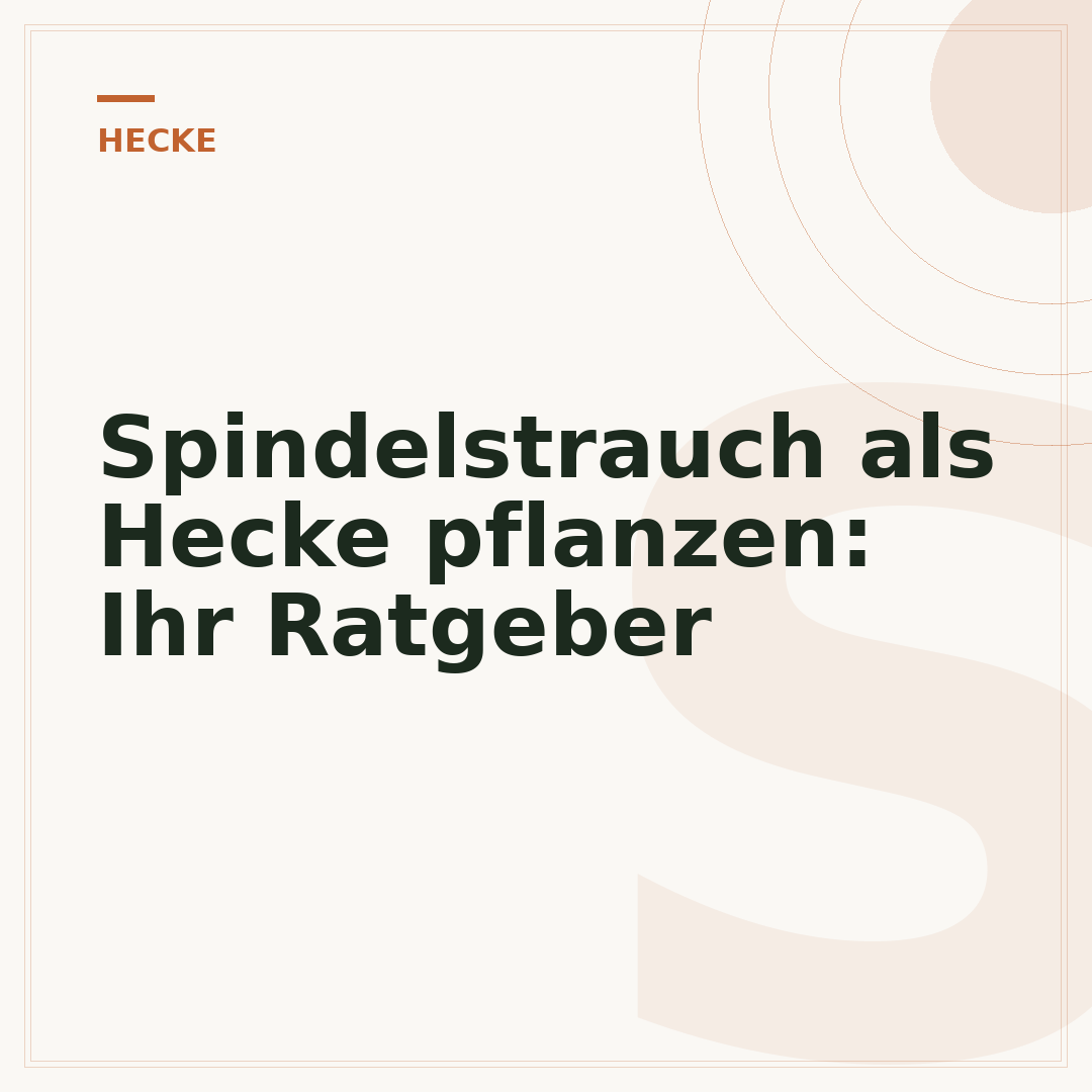 Spindelstrauch als Hecke pflanzen: Ihr Ratgeber