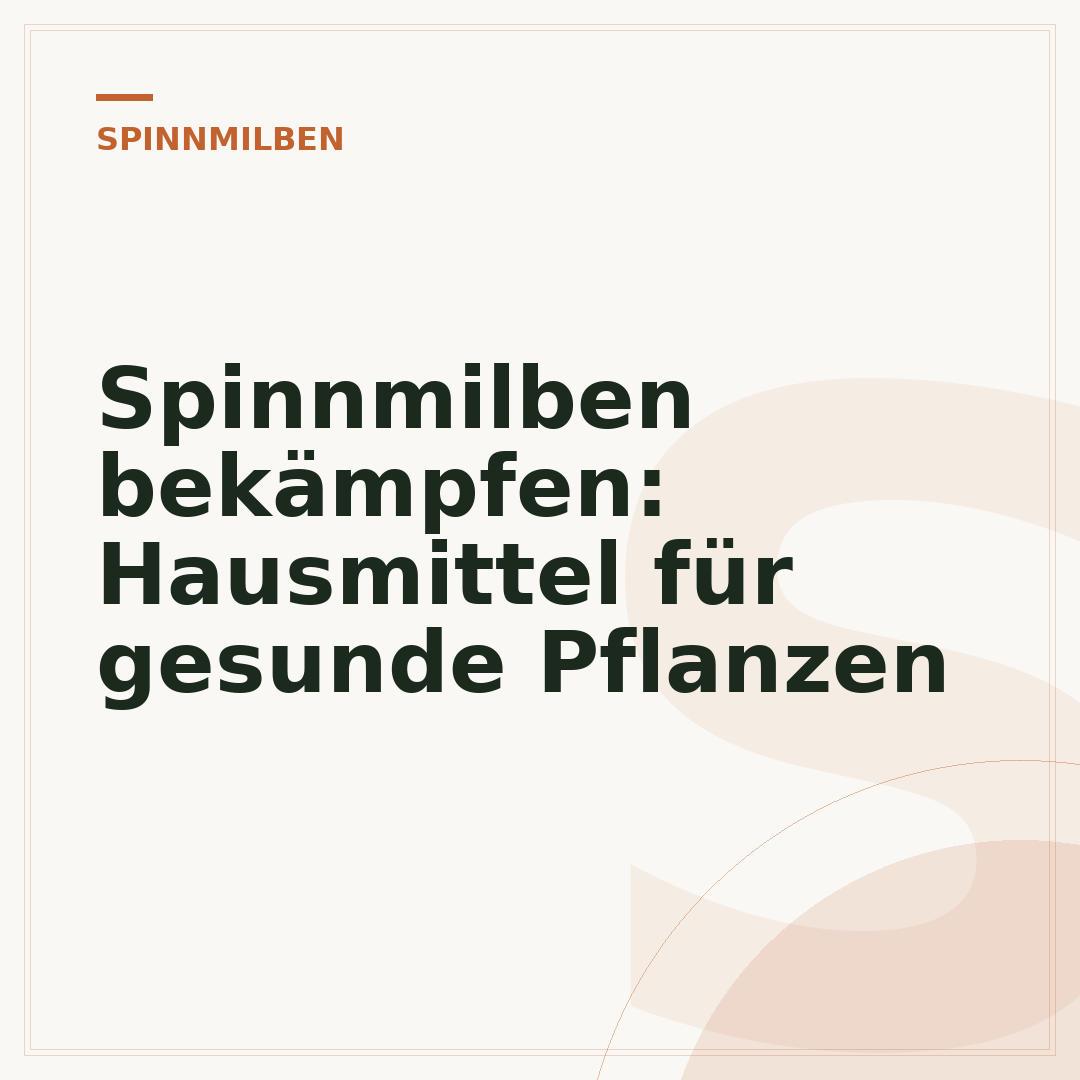 Spinnmilben bekämpfen: Hausmittel für gesunde Pflanzen