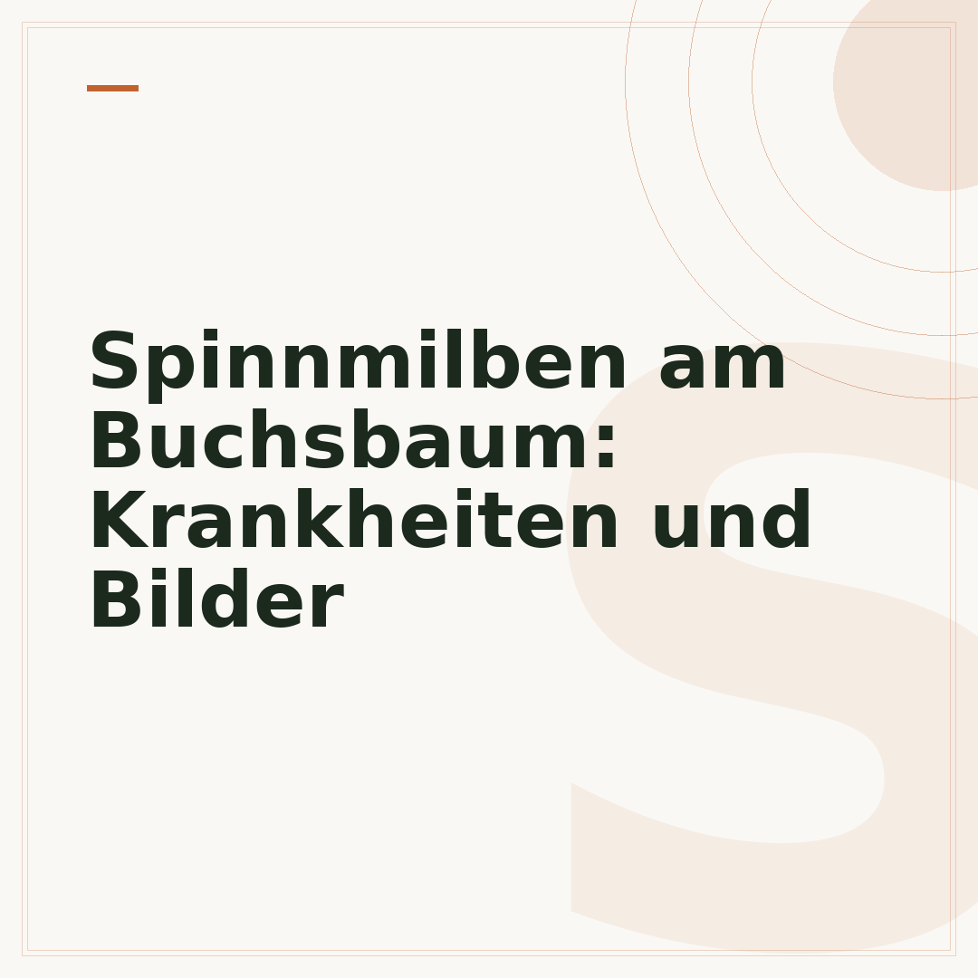 Spinnmilben am Buchsbaum: Krankheiten und Bilder