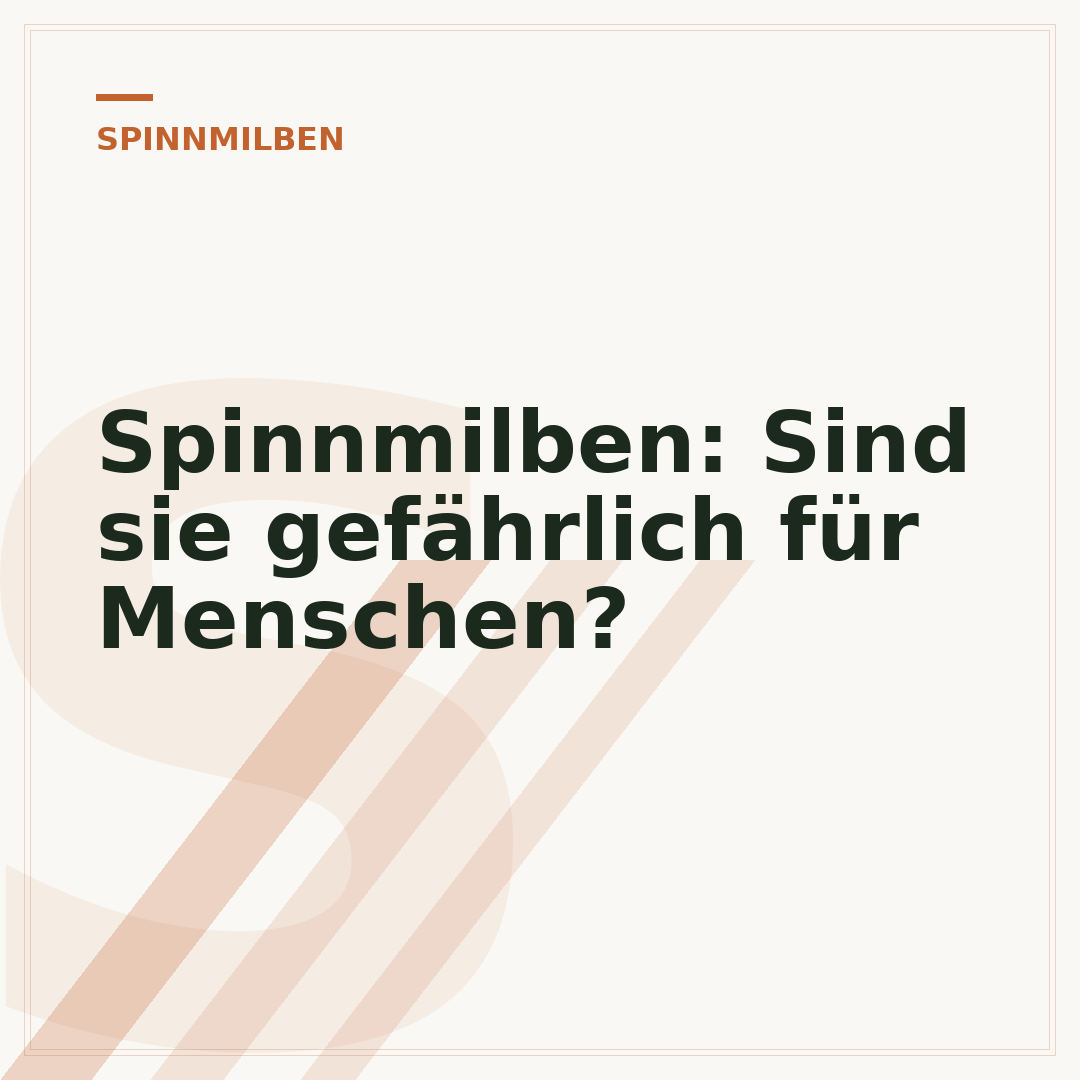 Spinnmilben: Sind sie gefährlich für Menschen?