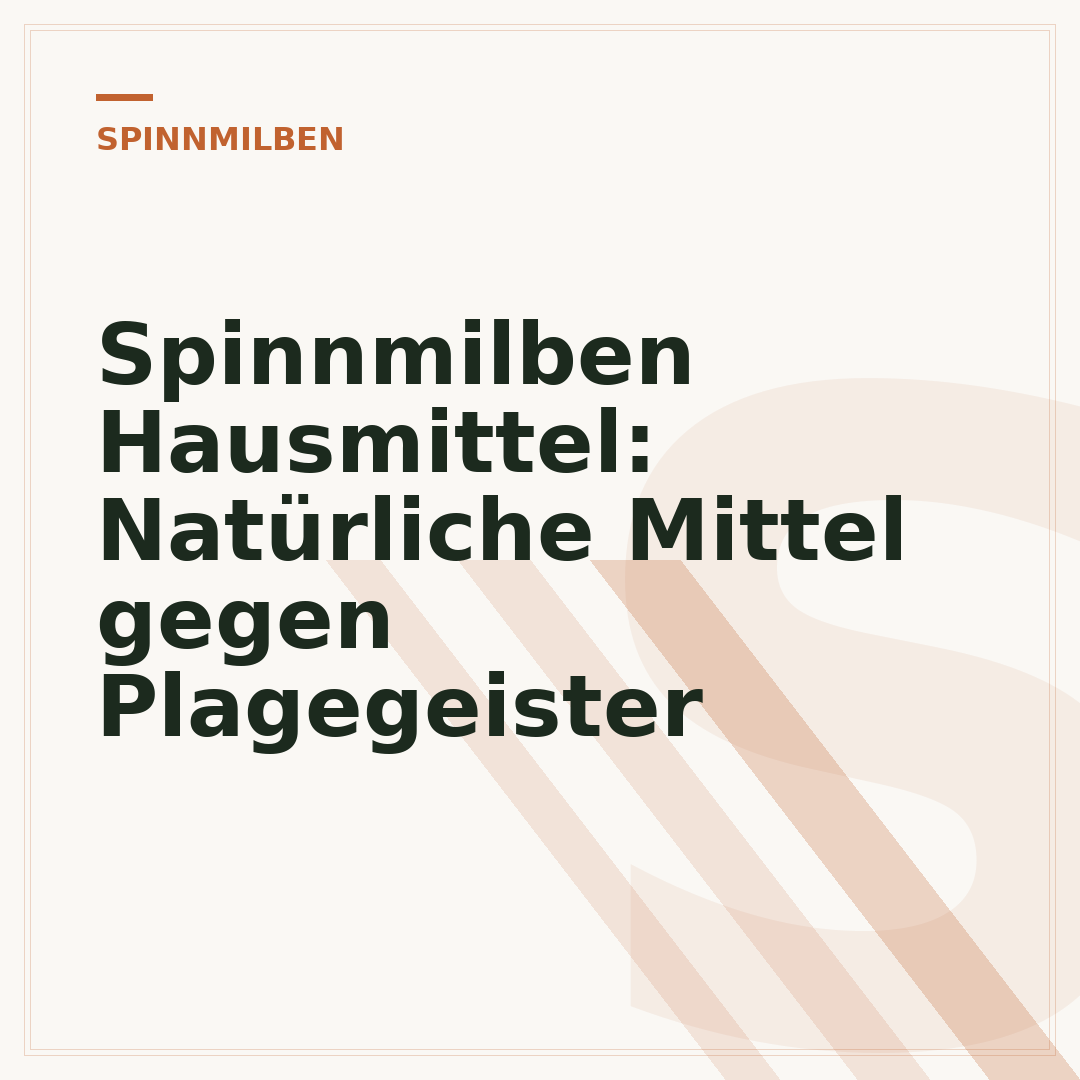 Spinnmilben Hausmittel: Natürliche Mittel gegen Plagegeister