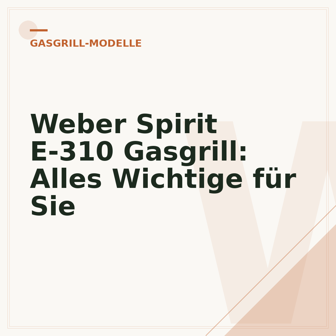 Weber Spirit E-310 Gasgrill: Alles Wichtige für Sie