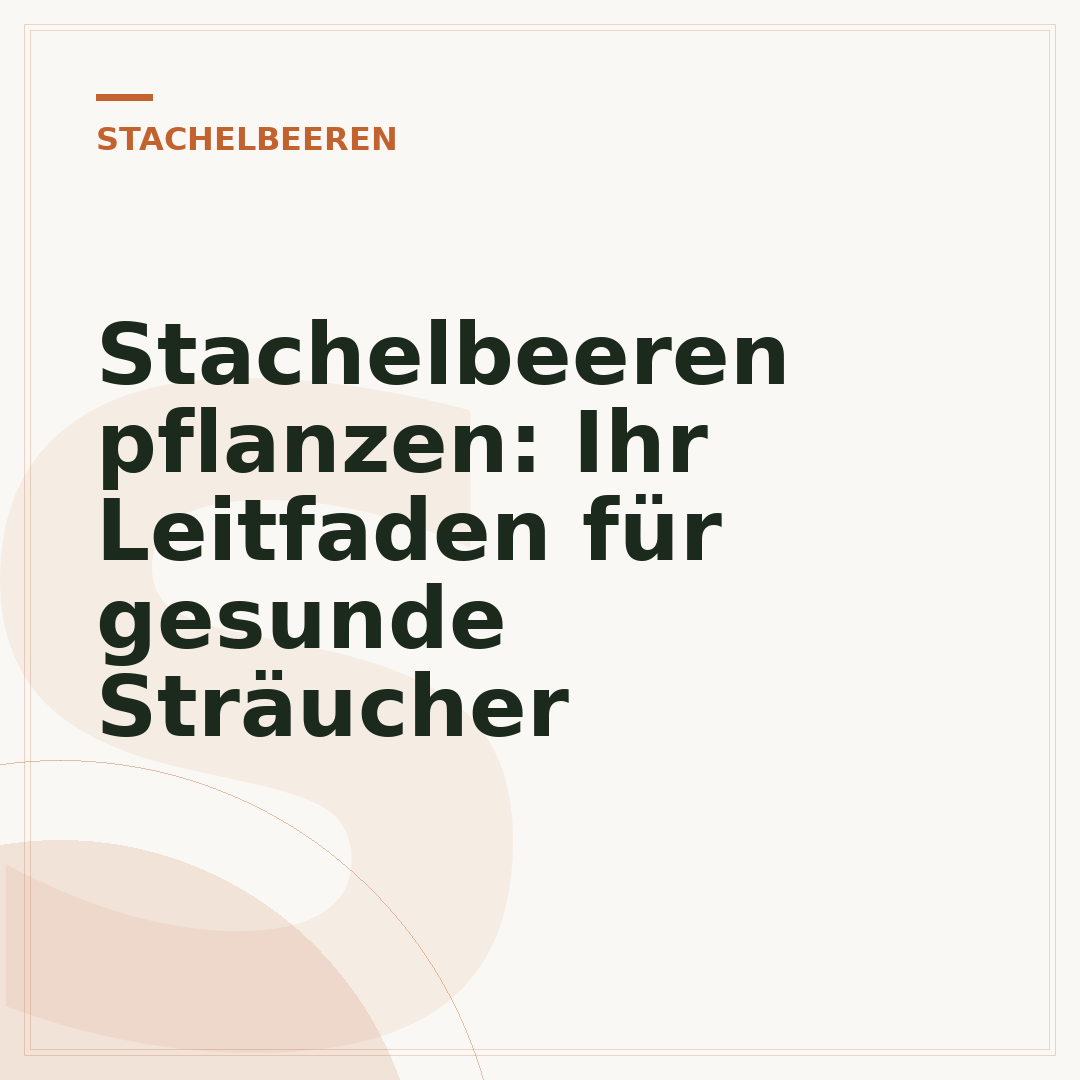 Stachelbeeren pflanzen: Ihr Leitfaden für gesunde Sträucher