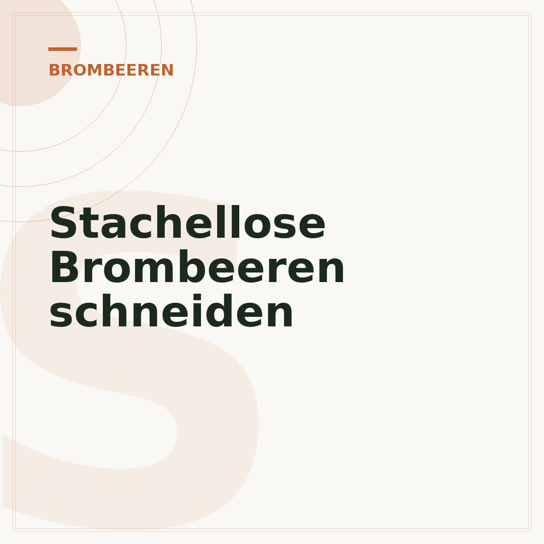 Stachellose Brombeeren schneiden