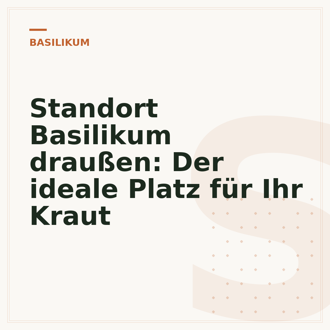 Standort Basilikum draußen: Der ideale Platz für Ihr Kraut
