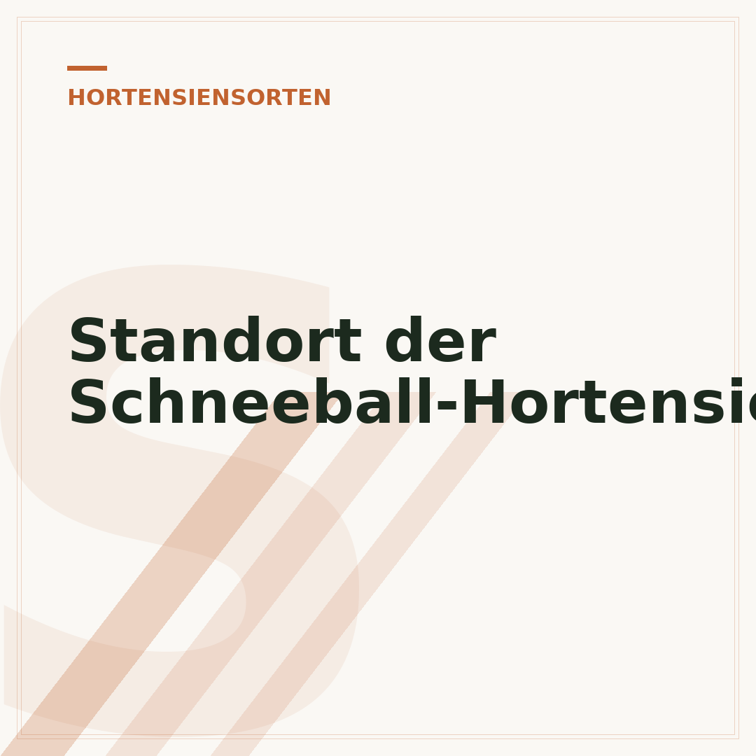 Standort der Schneeball-Hortensie