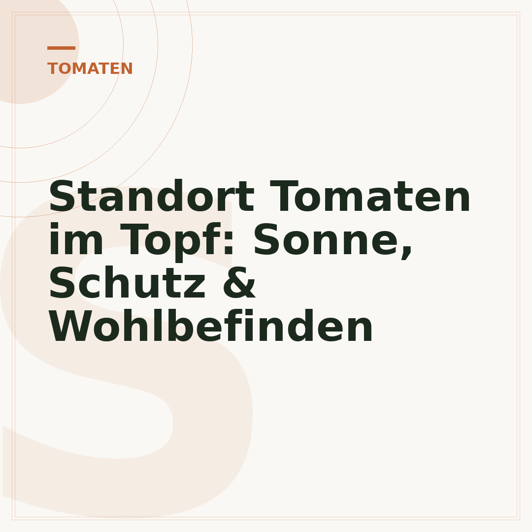 Standort Tomaten im Topf: Sonne, Schutz & Wohlbefinden