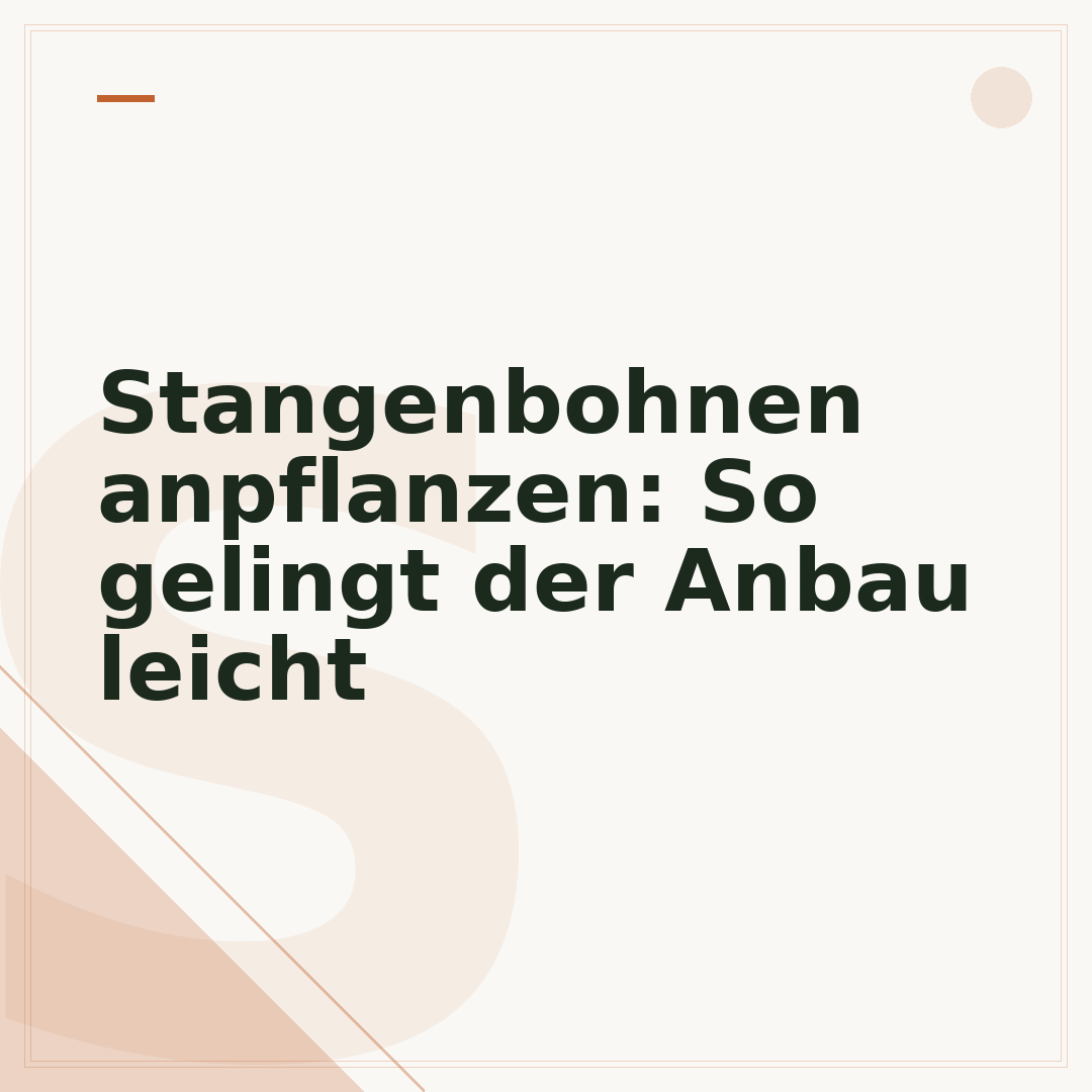 Stangenbohnen anpflanzen: So gelingt der Anbau leicht