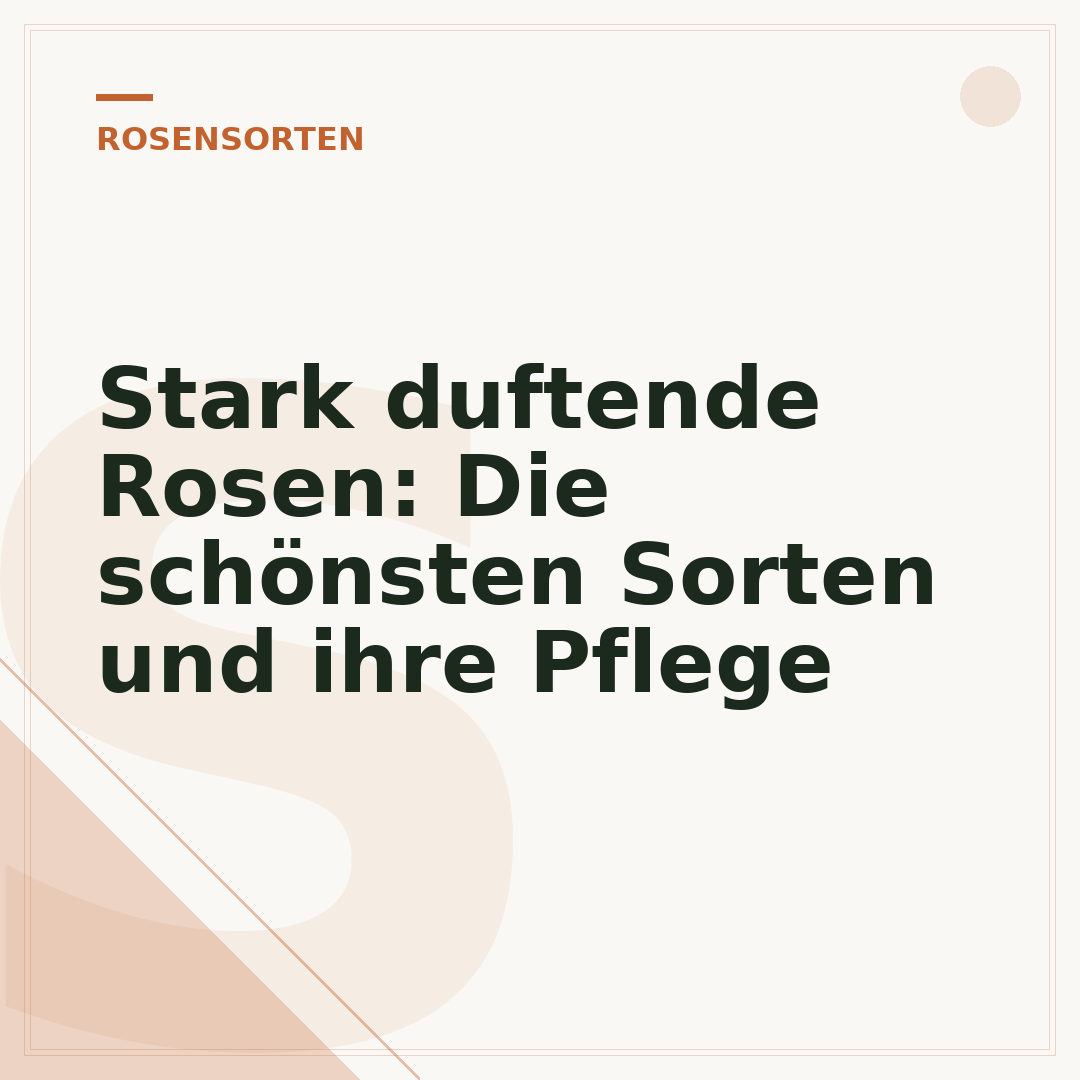 Stark duftende Rosen: Die schönsten Sorten und ihre Pflege