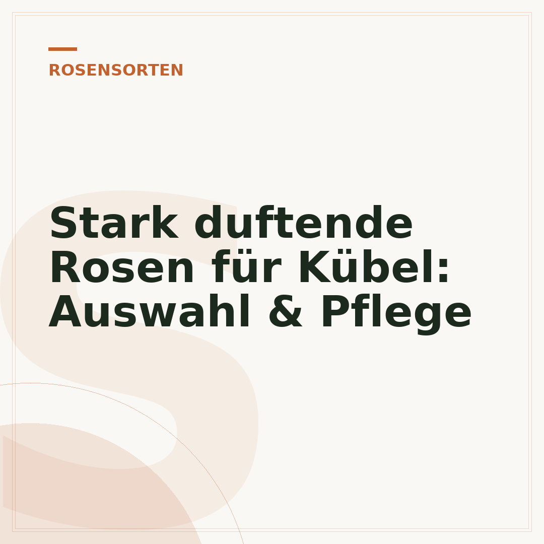 Stark duftende Rosen für Kübel: Auswahl & Pflege