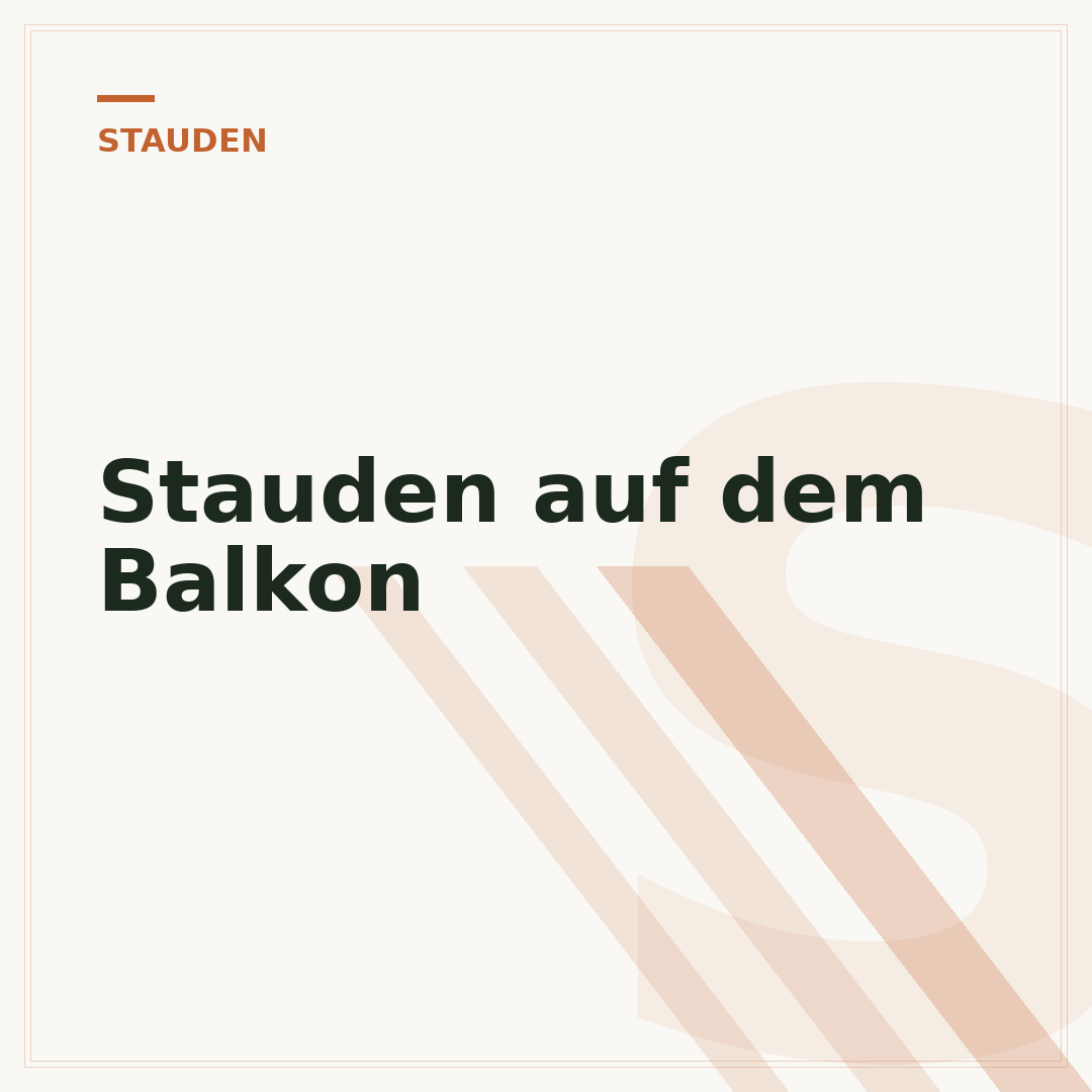 Stauden auf dem Balkon