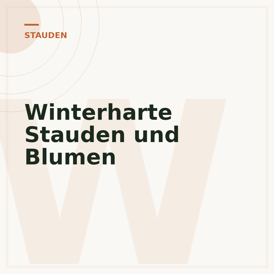 Winterharte Stauden und Blumen
