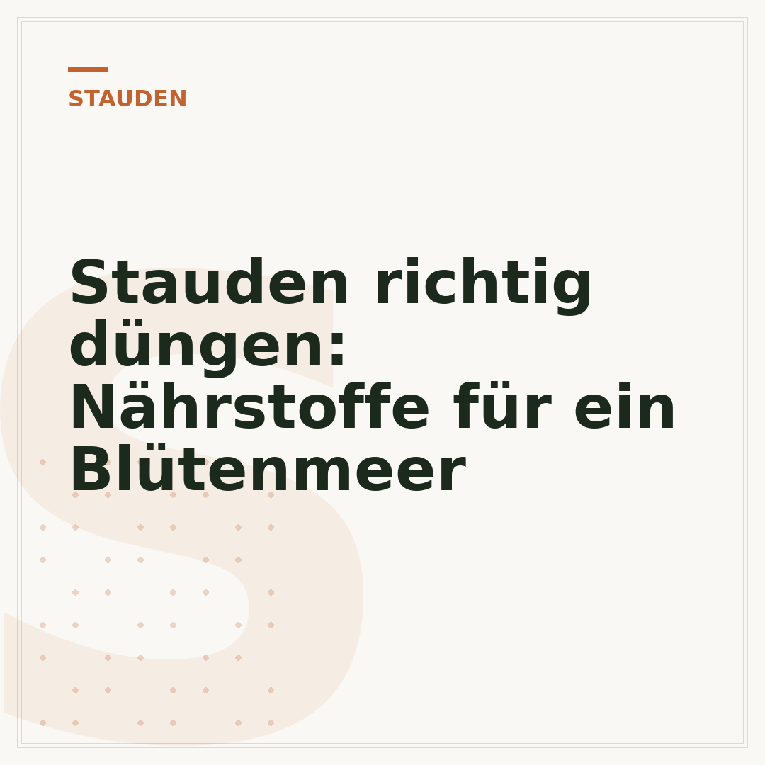 Stauden richtig düngen: Nährstoffe für ein Blütenmeer