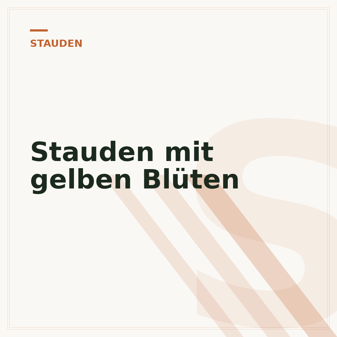 Stauden mit gelben Blüten