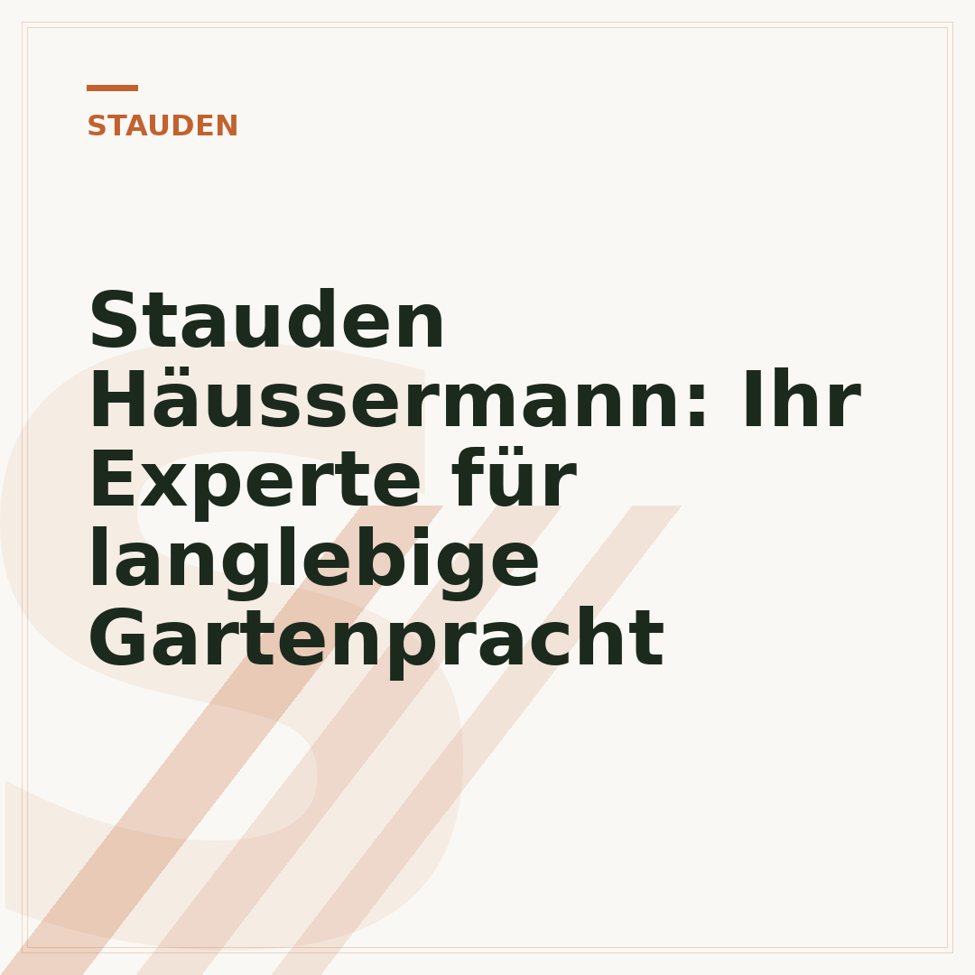 Stauden Häussermann: Ihr Experte für langlebige Gartenpracht
