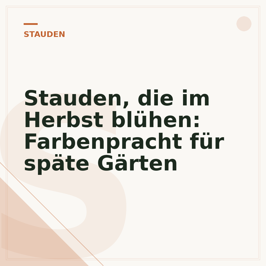Stauden, die im Herbst blühen: Farbenpracht für späte Gärten