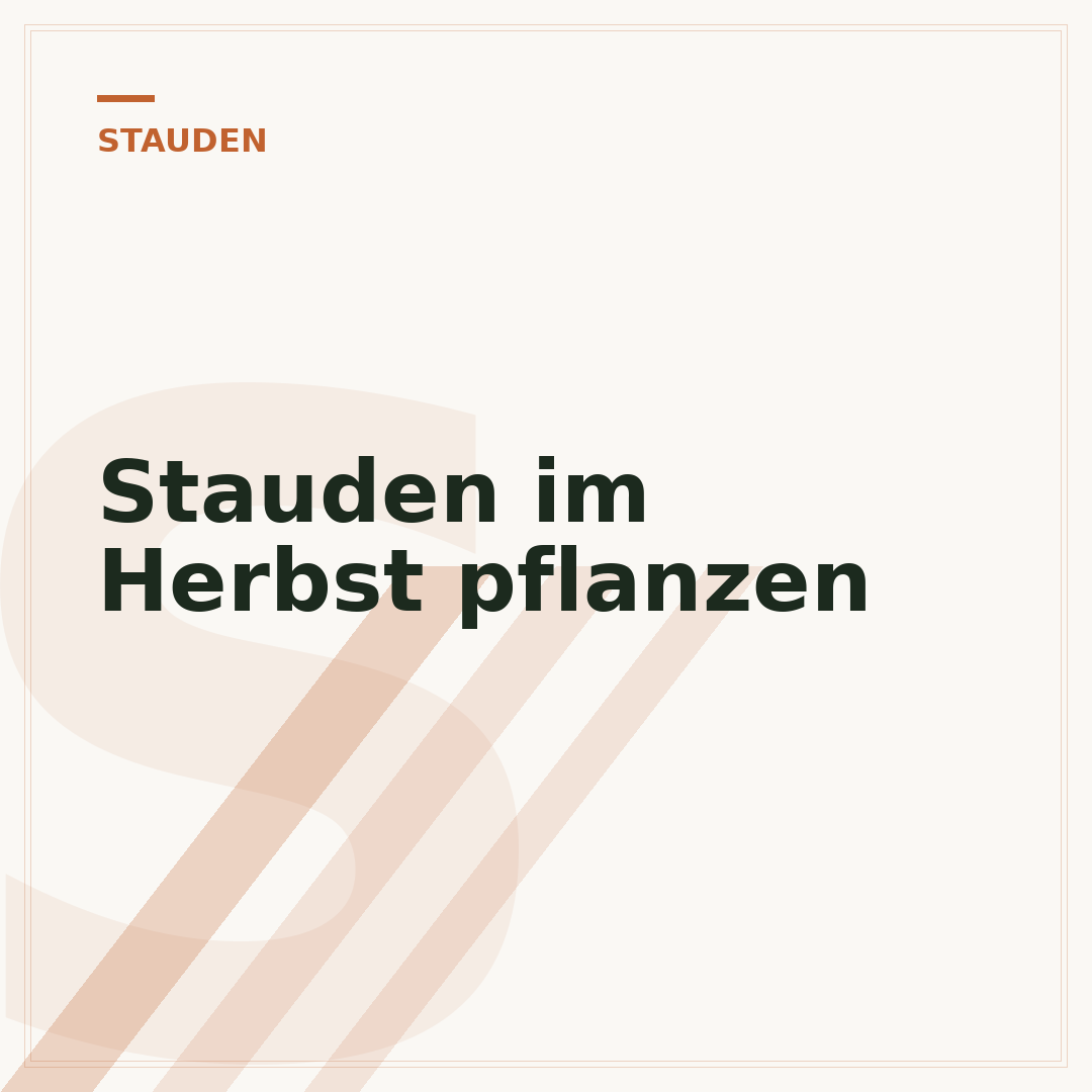Stauden im Herbst pflanzen
