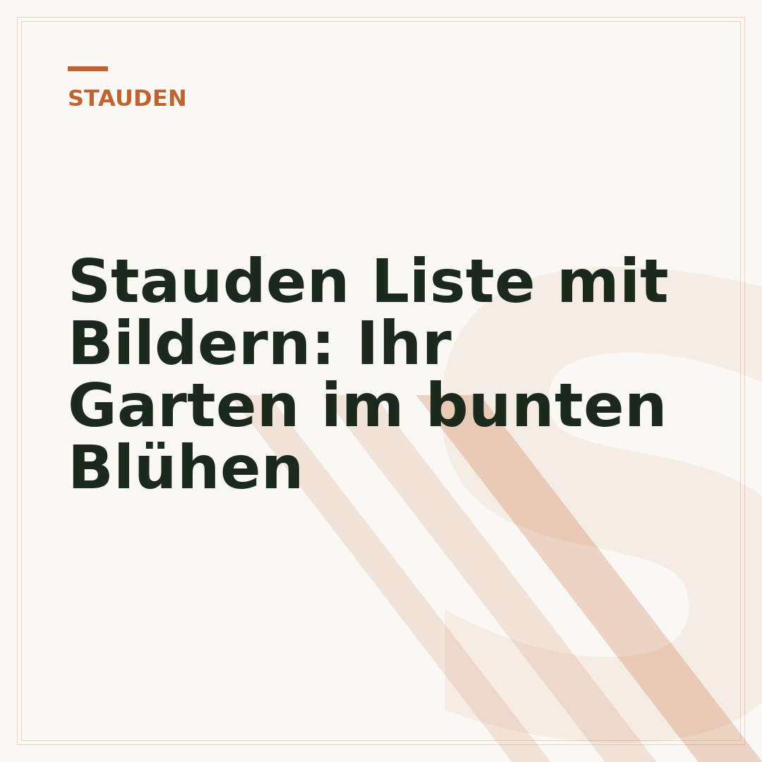 Stauden Liste mit Bildern: Ihr Garten im bunten Blühen