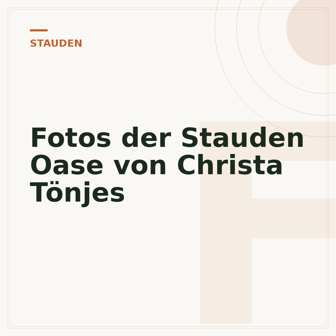 Fotos der Stauden Oase von Christa Tönjes