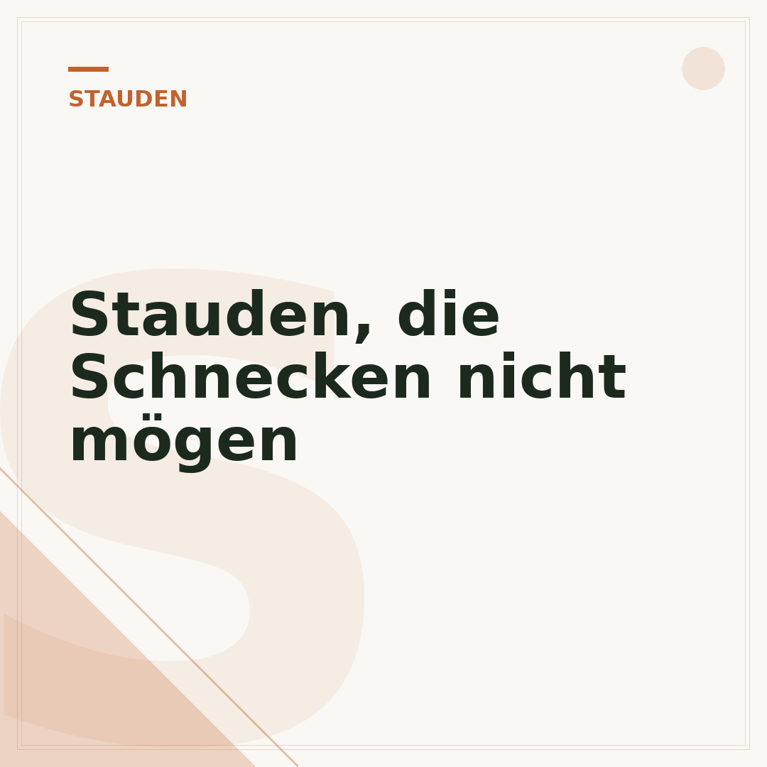 Stauden, die Schnecken nicht mögen