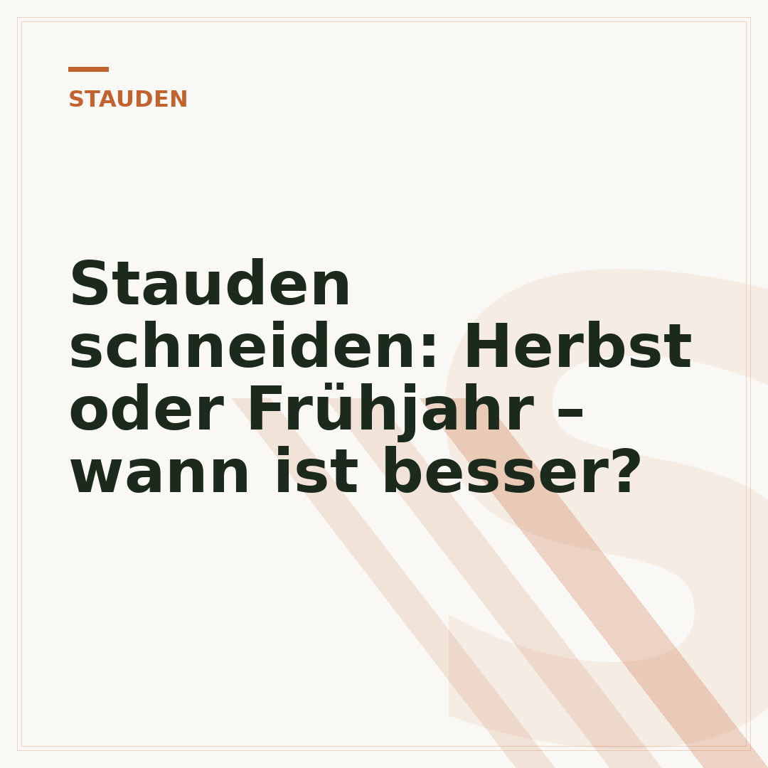 Stauden schneiden: Herbst oder Frühjahr – wann ist besser?