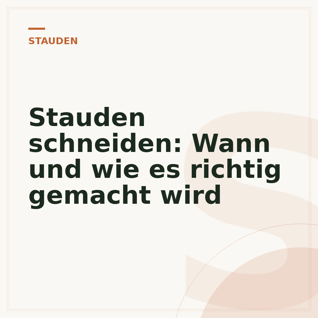Stauden schneiden: Wann und wie es richtig gemacht wird