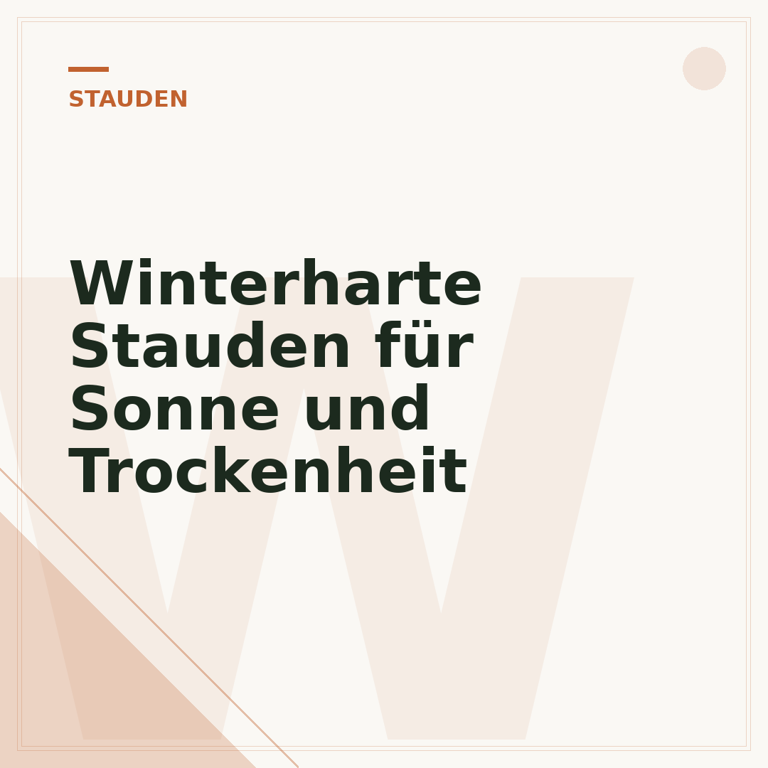 Winterharte Stauden für Sonne und Trockenheit
