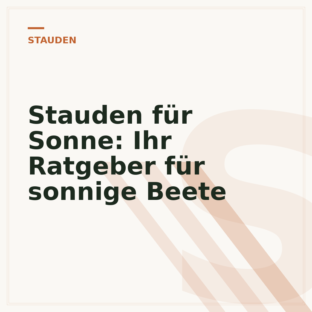 Stauden für Sonne: Ihr Ratgeber für sonnige Beete