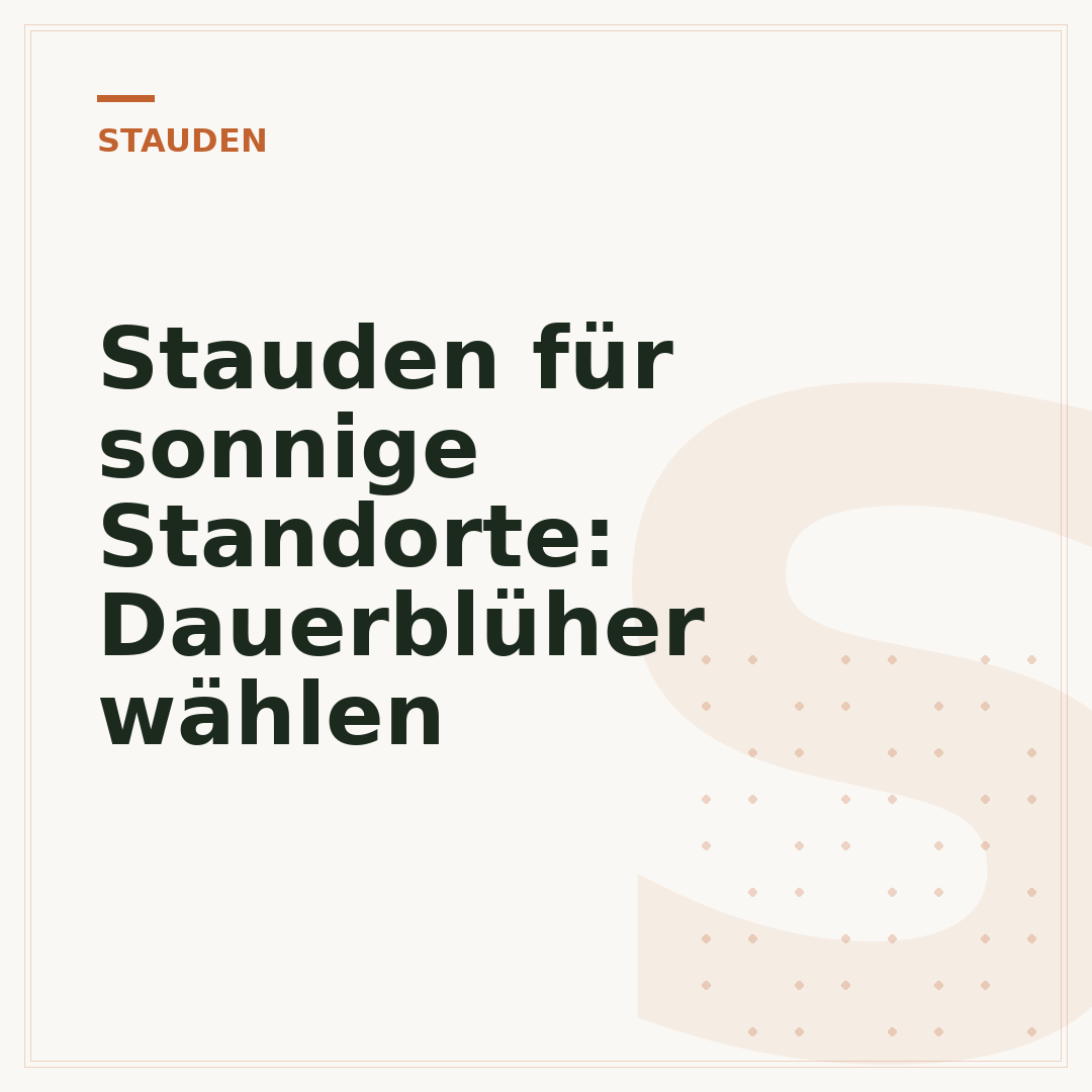 Stauden für sonnige Standorte: Dauerblüher wählen