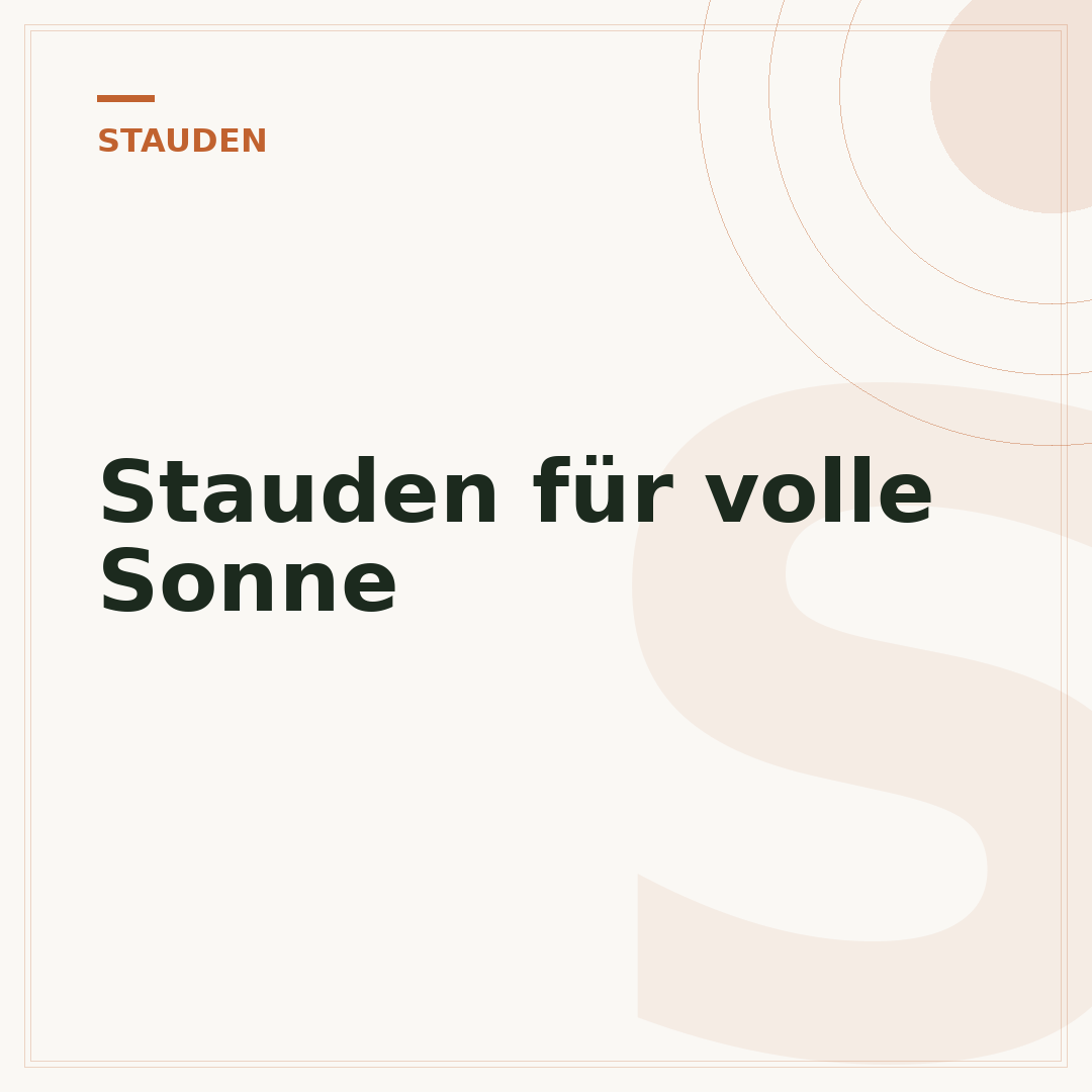 Stauden für volle Sonne