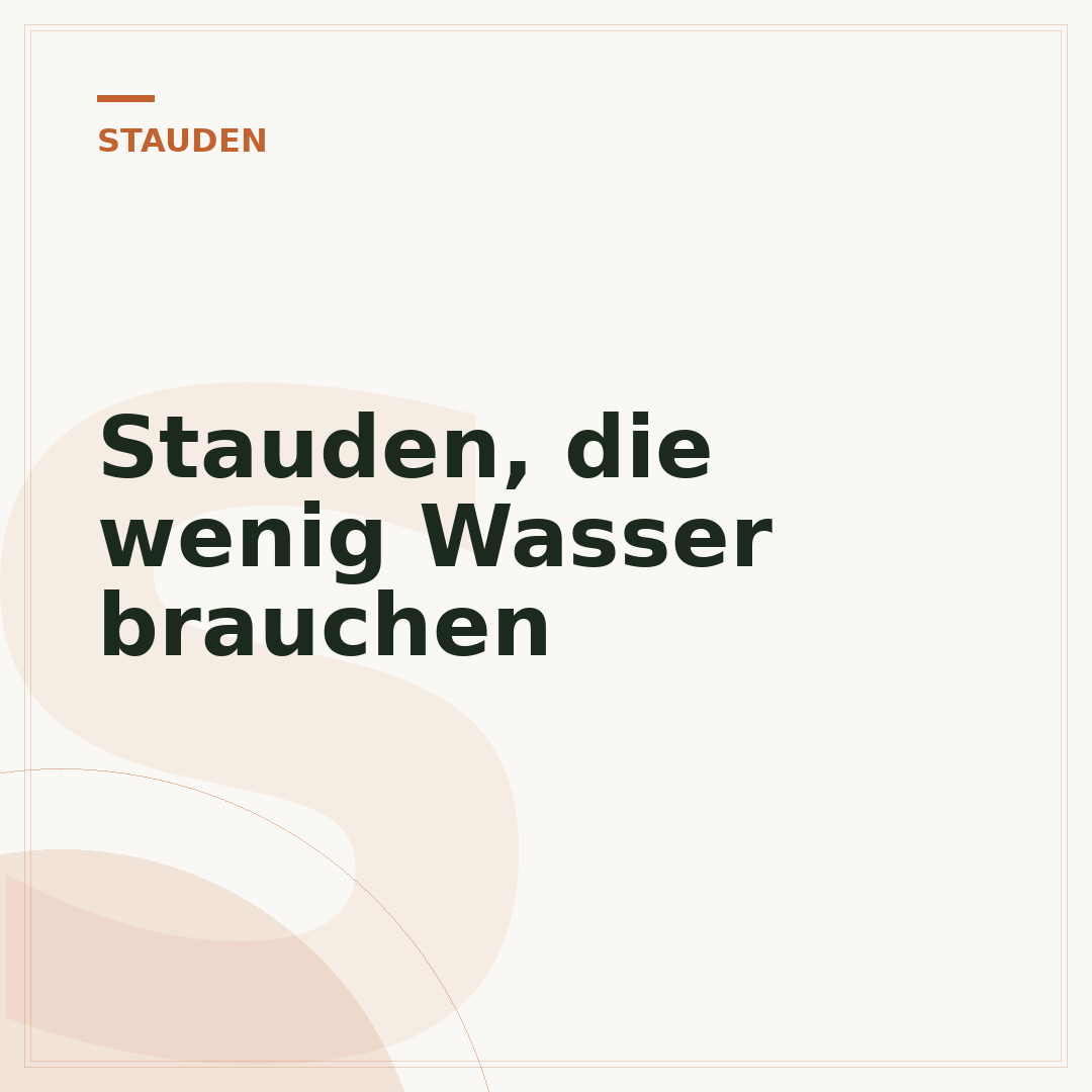 Stauden, die wenig Wasser brauchen